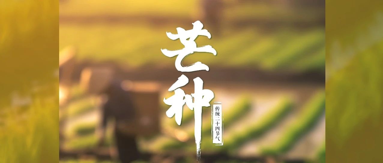 歲月不負(fù)耕耘，鐫刻美好豐碩